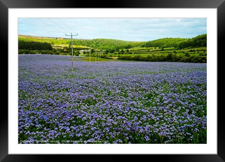 Flower fields in Kildale Framed Mounted Print by Martyn Arnold
