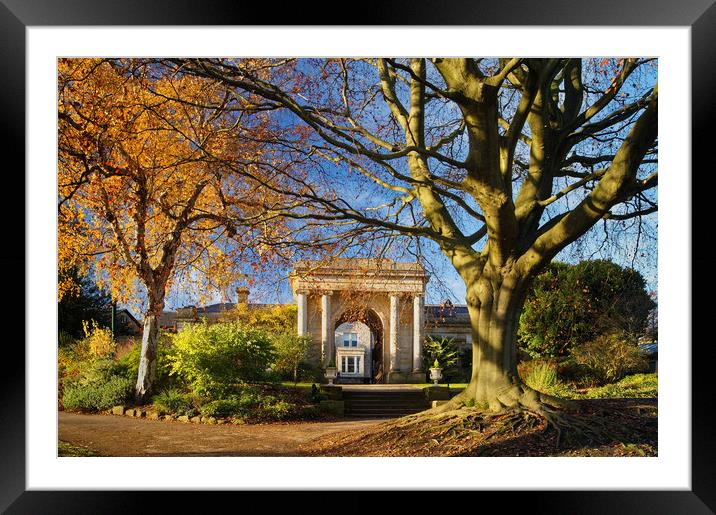 Sheffield Botanical Gardens in Autumn              Framed Mounted Print by Darren Galpin