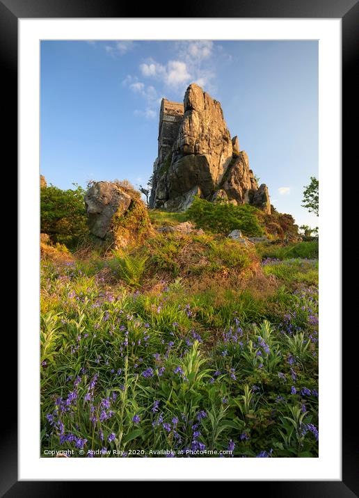 Spring evening (Roche Rock) Framed Mounted Print by Andrew Ray