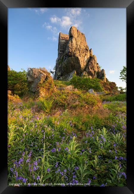 Spring evening (Roche Rock) Framed Print by Andrew Ray