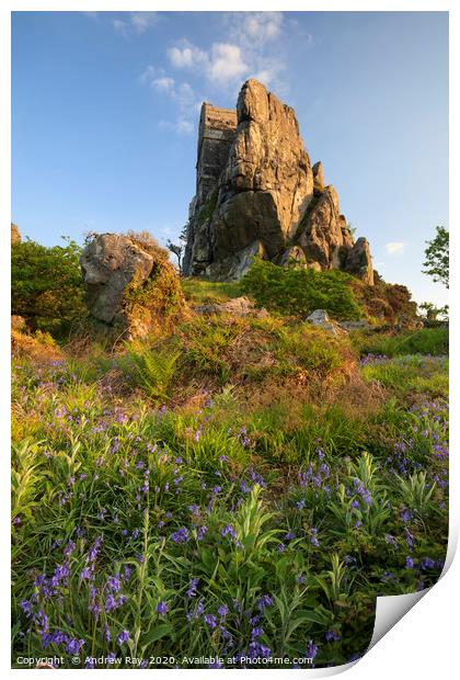 Spring evening (Roche Rock) Print by Andrew Ray