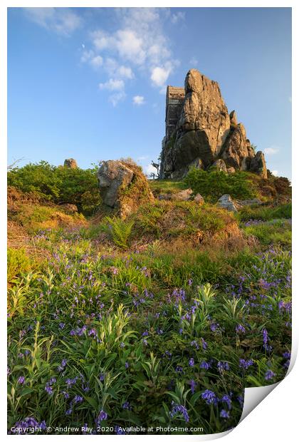 Spring flora at Roche Rock Print by Andrew Ray