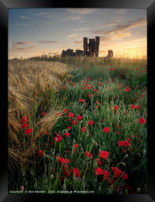 A sunrise among the poppies Framed Print by Rick Bowden