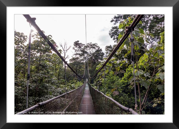 Rain forest Costa Rica Framed Mounted Print by Marco Diaz