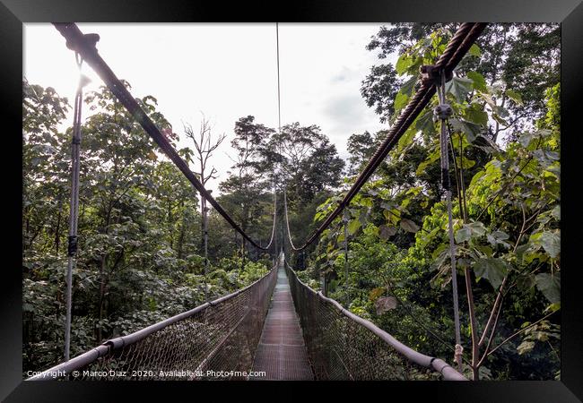 Rain forest Costa Rica Framed Print by Marco Diaz