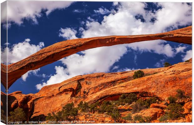 Landscape Arch Arches National Park Utah Canvas Print by William Perry