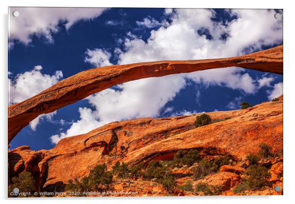 Landscape Arch Arches National Park Utah Acrylic by William Perry