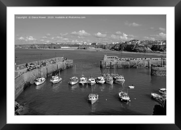 Newquay Harbour Cornwall Framed Mounted Print by Diana Mower