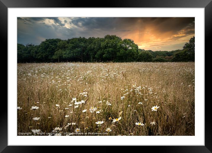 Wild Flower Meadow Framed Mounted Print by Wight Landscapes