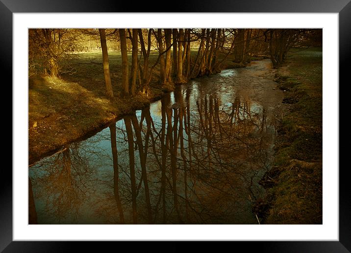 Calm reflections Framed Mounted Print by S Fierros
