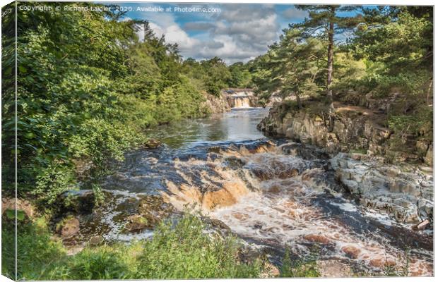 Low Force Waterfall, Teesdale in Summer (1) Canvas Print by Richard Laidler