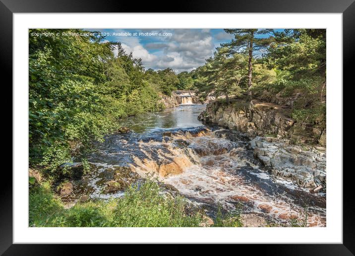 Low Force Waterfall, Teesdale in Summer (1) Framed Mounted Print by Richard Laidler