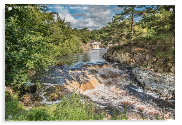 Low Force Waterfall, Teesdale in Summer (1) Acrylic by Richard Laidler