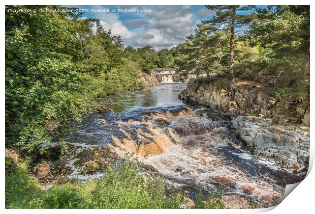 Low Force Waterfall, Teesdale in Summer (1) Print by Richard Laidler