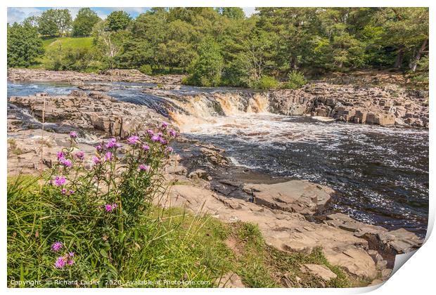 Low Force Waterfall, Teesdale in Summer (2) Print by Richard Laidler