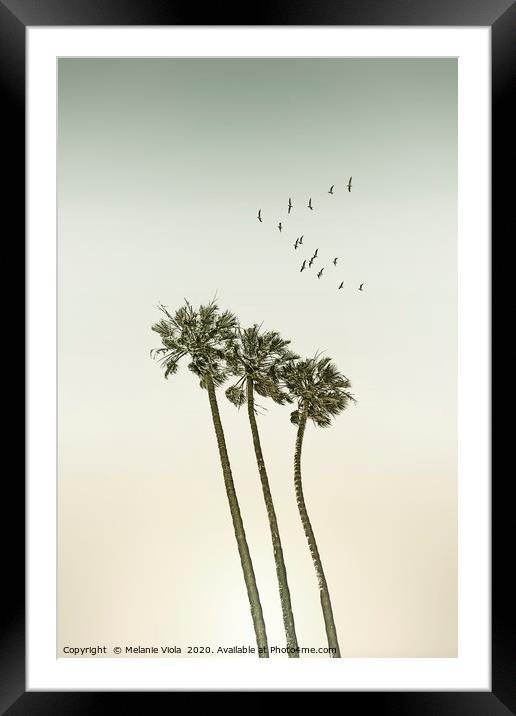 Vintage palm trees at sunset Framed Mounted Print by Melanie Viola