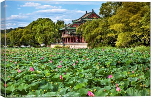 Lotus Garden Summer Palace Park Beijing China Canvas Print by William Perry