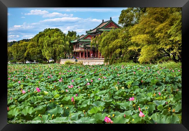 Lotus Garden Summer Palace Park Beijing China Framed Print by William Perry
