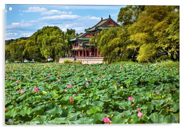 Lotus Garden Summer Palace Park Beijing China Acrylic by William Perry