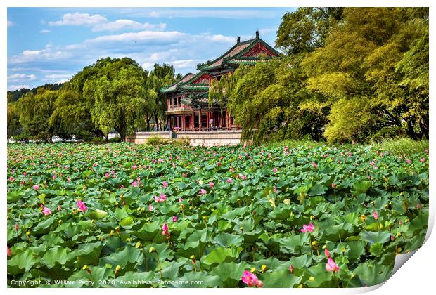 Lotus Garden Summer Palace Park Beijing China Print by William Perry