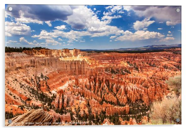 Amphitheater Inspiration Point Bryce Canyon Utah Acrylic by William Perry
