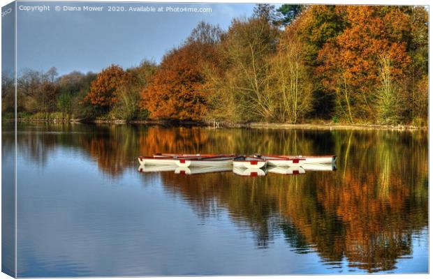 Hatfield Forest Autumn lake Canvas Print by Diana Mower
