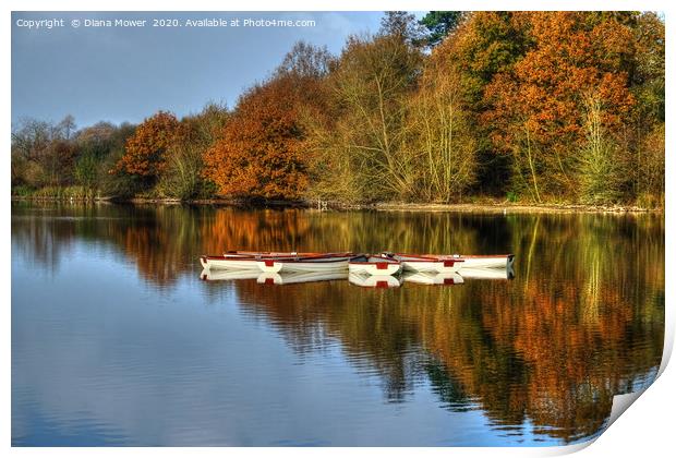 Hatfield Forest Autumn lake Print by Diana Mower