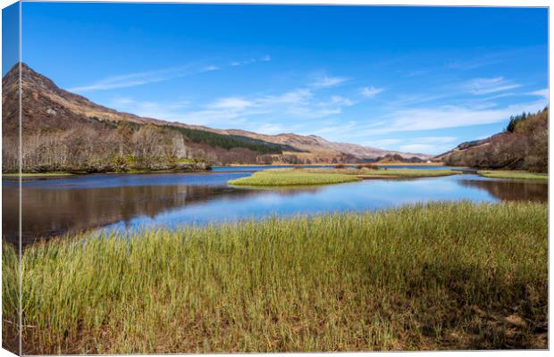 Loch Earn Reeds Canvas Print by David Hare
