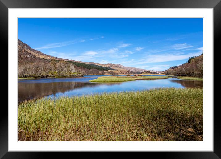 Loch Earn Reeds Framed Mounted Print by David Hare