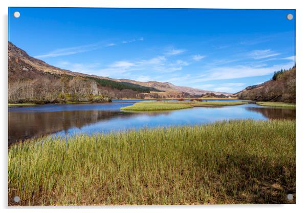 Loch Earn Reeds Acrylic by David Hare