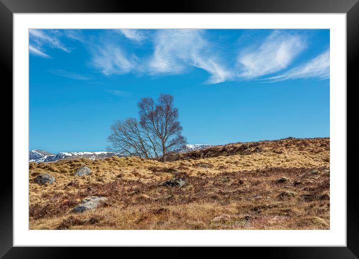Moorland Trees Framed Mounted Print by David Hare