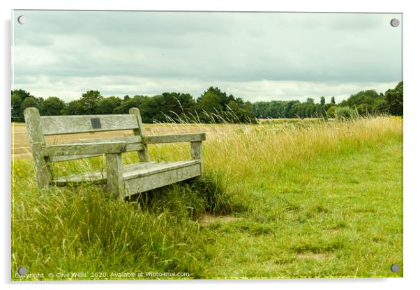 Lone seat on the grass at Sutton Bridge, Linconshi Acrylic by Clive Wells