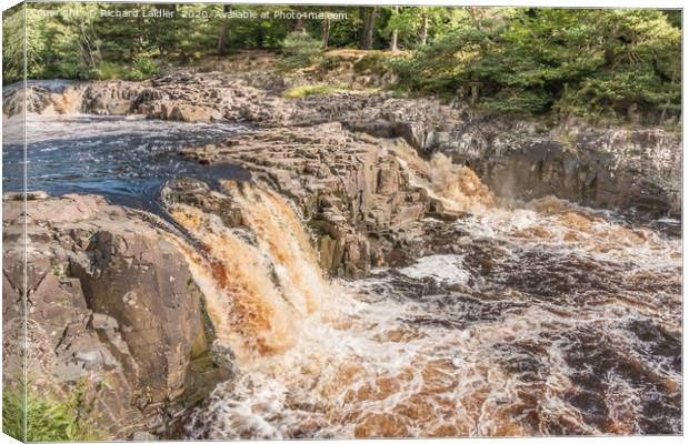 Low Force Waterfall, Teesdale in Summer (3) Canvas Print by Richard Laidler