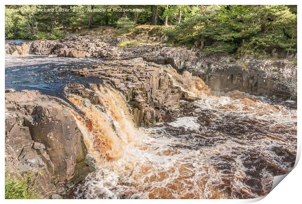 Low Force Waterfall, Teesdale in Summer (3) Print by Richard Laidler