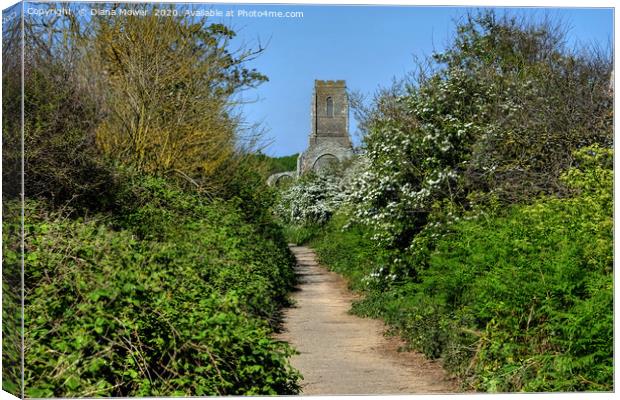 Path to the Church Covehithe Suffolk Canvas Print by Diana Mower