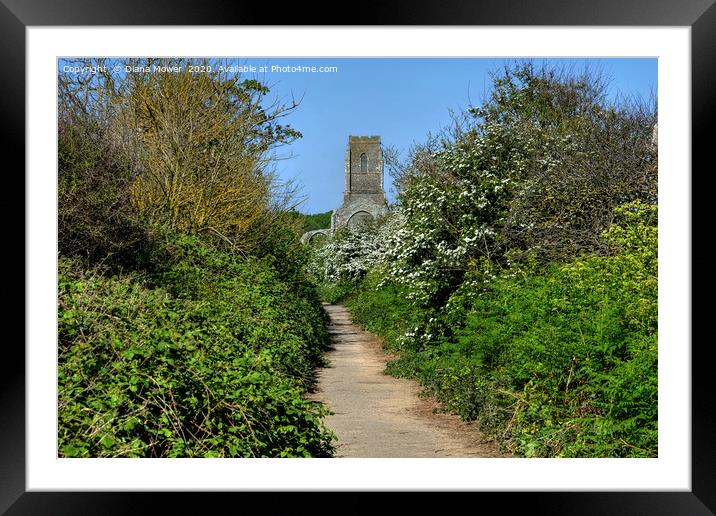 Path to the Church Covehithe Suffolk Framed Mounted Print by Diana Mower