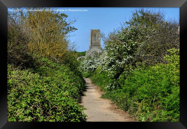Path to the Church Covehithe Suffolk Framed Print by Diana Mower