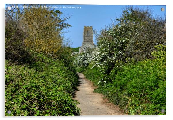 Path to the Church Covehithe Suffolk Acrylic by Diana Mower