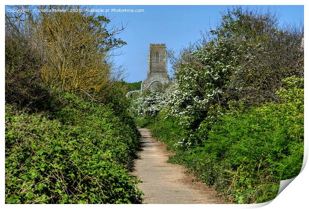 Path to the Church Covehithe Suffolk Print by Diana Mower