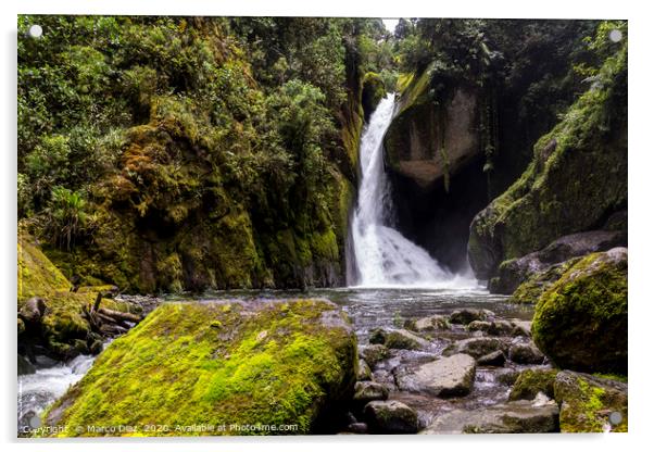 Costa Rica Waterfall Acrylic by Marco Diaz