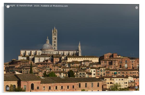 Siena Duomo and Campanile Acrylic by Harshil Shah
