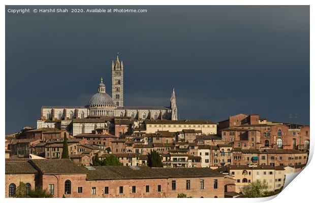 Siena Duomo and Campanile Print by Harshil Shah