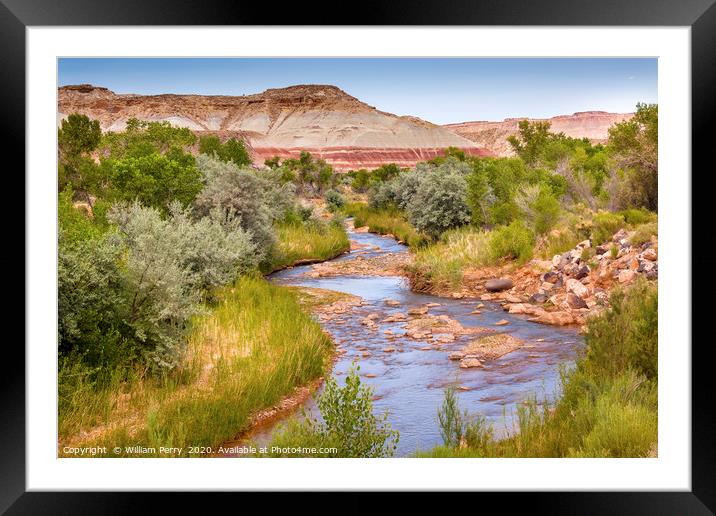 Fremont River Capitol Reef National Park Utah Framed Mounted Print by William Perry