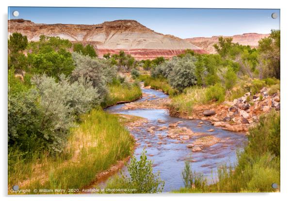 Fremont River Capitol Reef National Park Utah Acrylic by William Perry