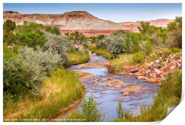 Fremont River Capitol Reef National Park Utah Print by William Perry