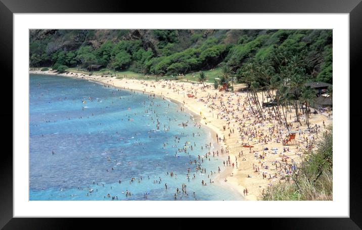 Caribbean beach. Framed Mounted Print by Dr.Oscar williams: PHD
