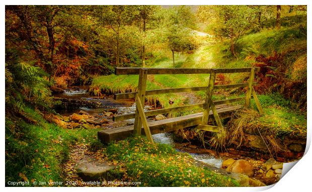 Autumn Hike Bridge Print by Jan Venter