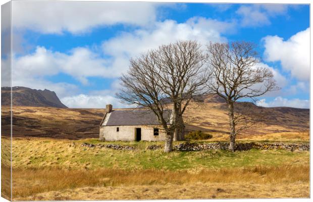 Highland cottage with trees Canvas Print by David Hare