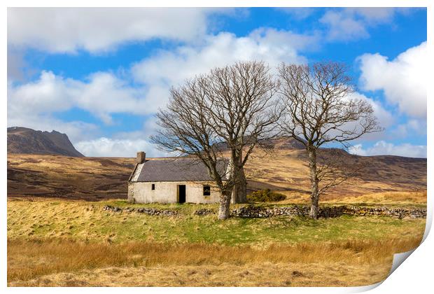 Highland cottage with trees Print by David Hare