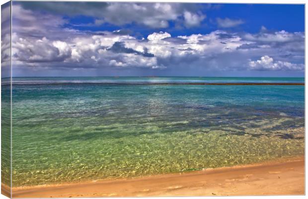 Sea and Clouds and Beach Magaruque Seascape Canvas Print by Jeremy Hayden